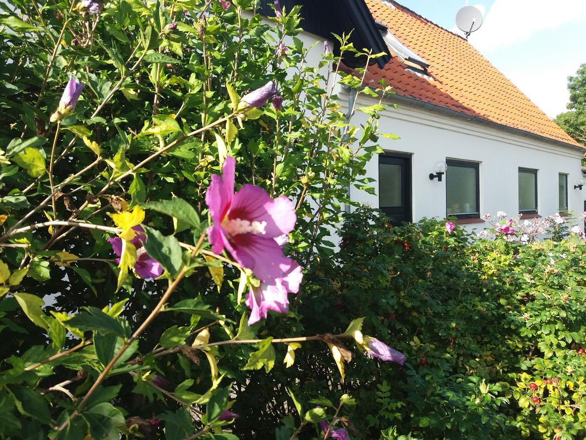 B & B Hygge Stoense Kültér fotó